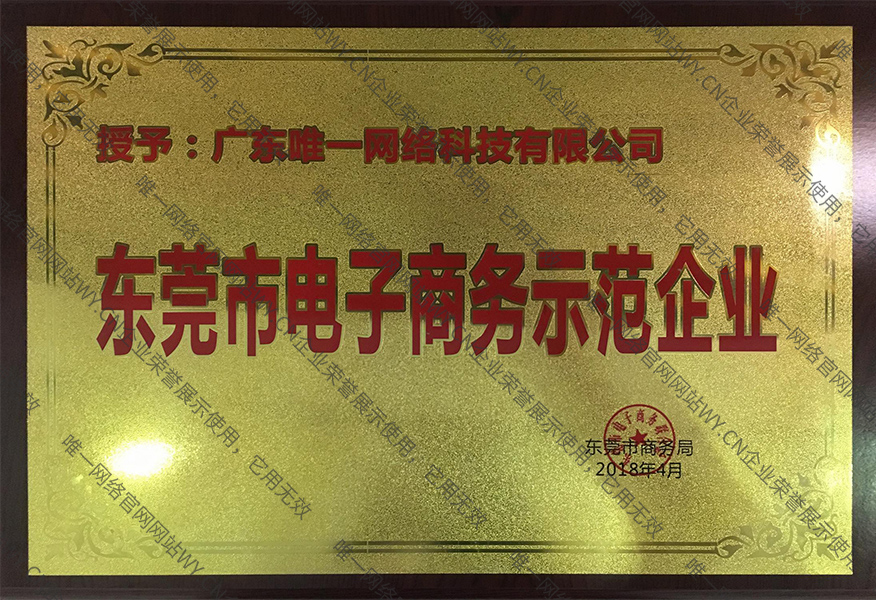 東莞市電子商務示范企業